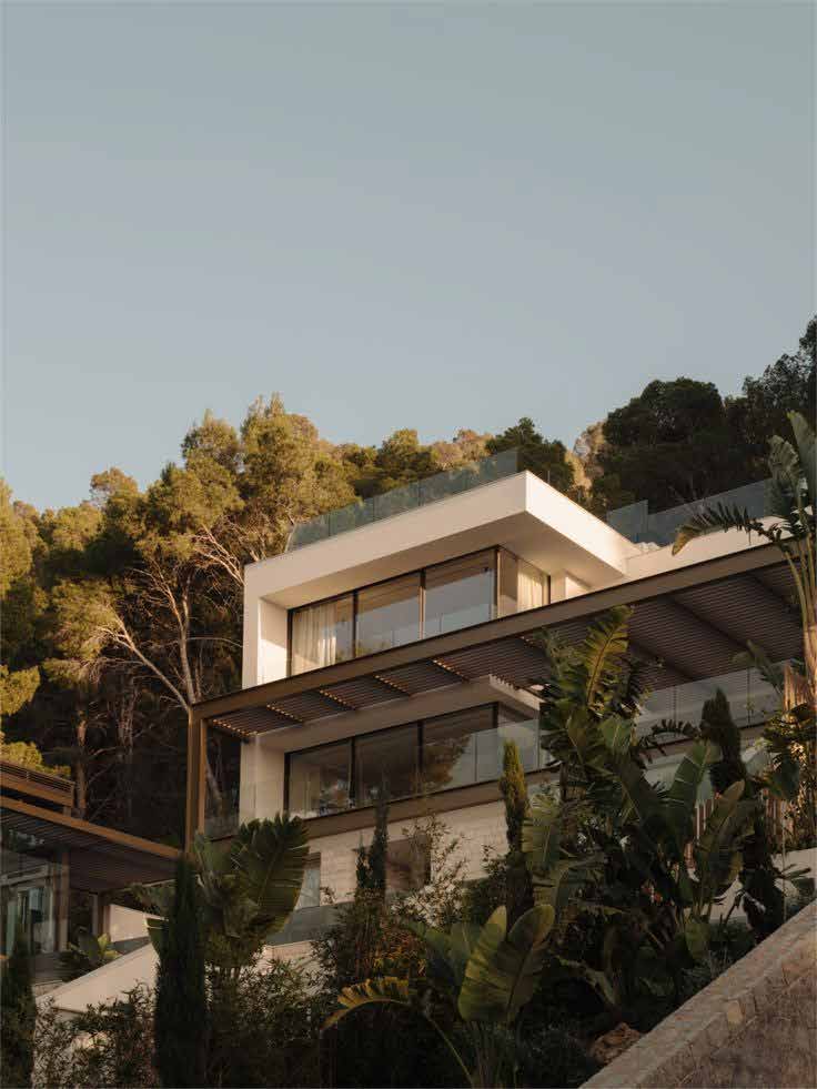 Residencia contemporánea entre vegetación